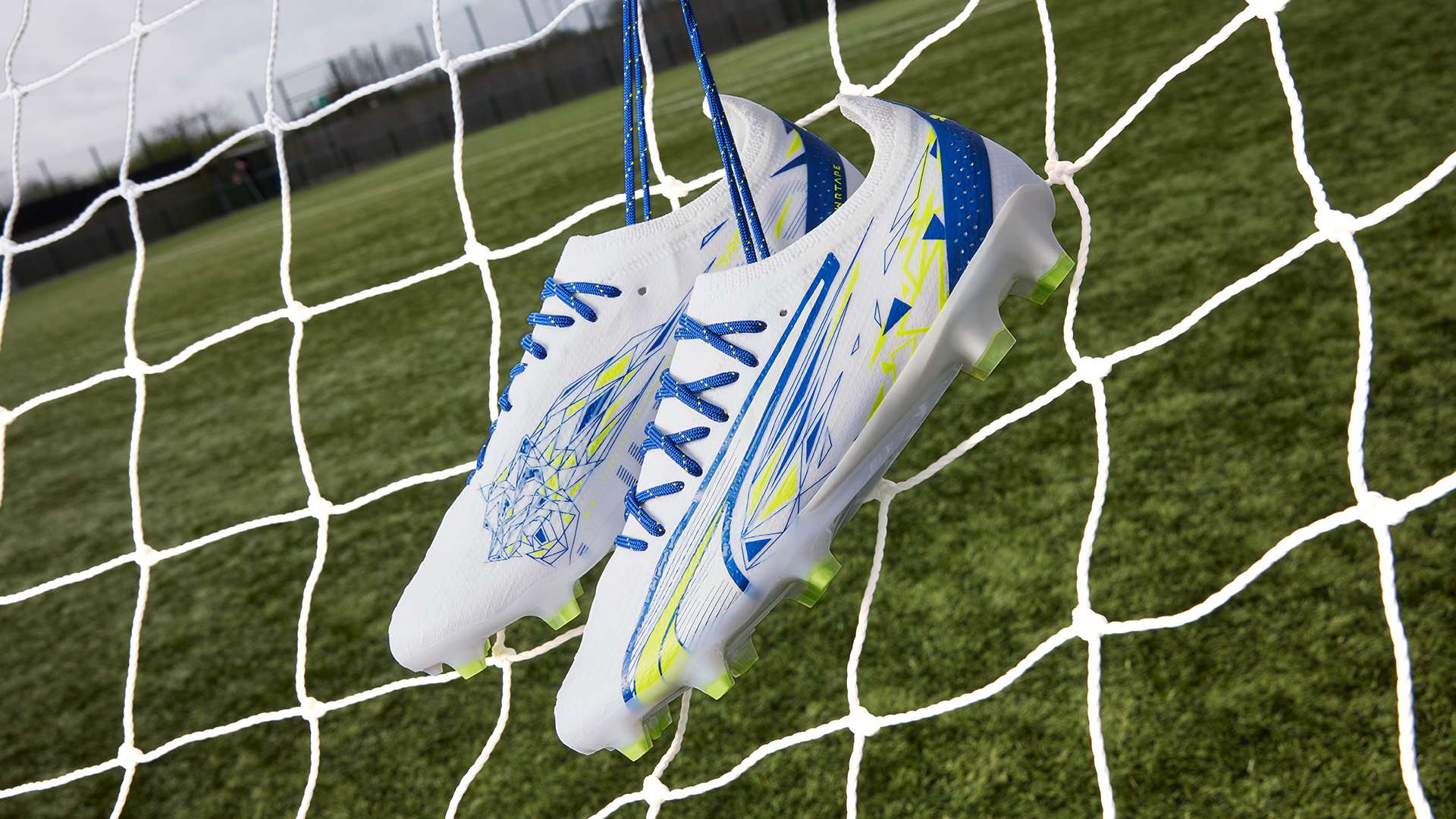 无疑可以为 无疑可以为